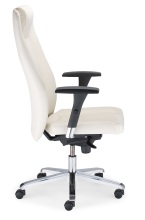 INVITUS R17M steel 36 chrome